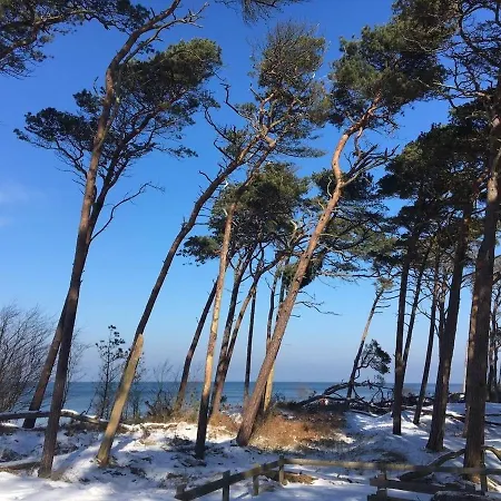 Rosenhaus Naehe Bodden Und Ostsee An Den Kranichfeldern Holiday home
