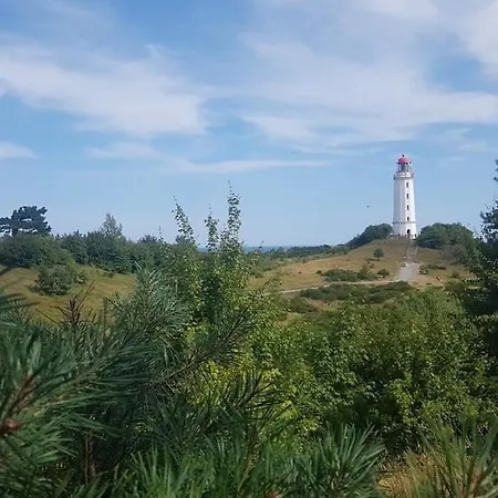 Rosenhaus Naehe Bodden Und Ostsee An Den Kranichfeldern *