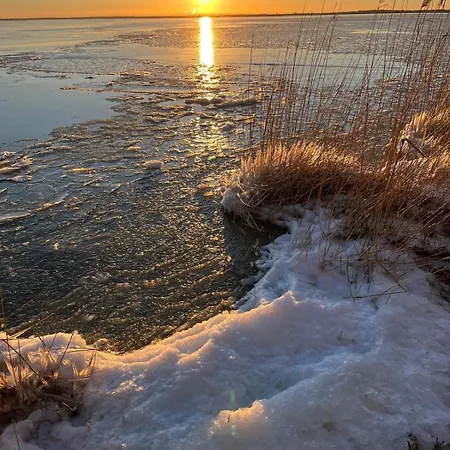 Rosenhaus Naehe Bodden Und Ostsee An Den Kranichfeldern Holiday home
