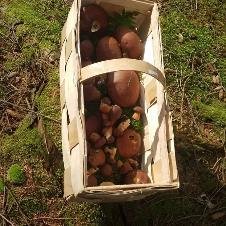 Rosenhaus Naehe Bodden Und Ostsee An Den Kranichfeldern Holiday home