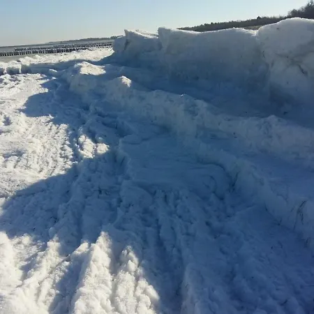 Rosenhaus Naehe Bodden Und Ostsee An Den Kranichfeldern * Hermannshagen Heide