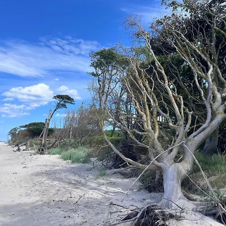 Rosenhaus Naehe Bodden Und Ostsee An Den Kranichfeldern Holiday home Hermannshagen Heide