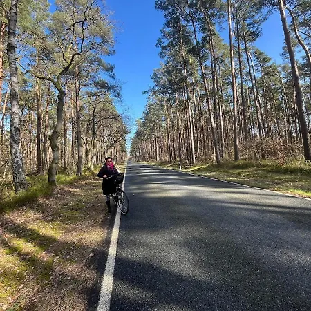 Rosenhaus Naehe Bodden Und Ostsee An Den Kranichfeldern *
