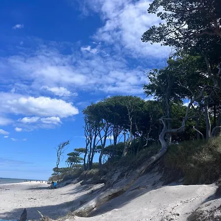 Rosenhaus Naehe Bodden Und Ostsee An Den Kranichfeldern * Hermannshagen Heide