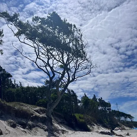 Holiday home Rosenhaus Naehe Bodden Und Ostsee An Den Kranichfeldern Hermannshagen Heide